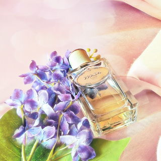Infusion d'Iris (Eau de Parfum) (2015) von Prada
