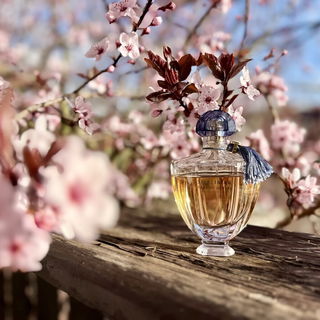 🌸💝