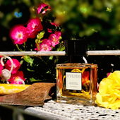 In Farbe wirkt die Szene lebensbejahend und froh. Hier wird in den Highlands gefeiert ;) (by Gandix)