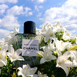 Paris - Riviera - Chanel
