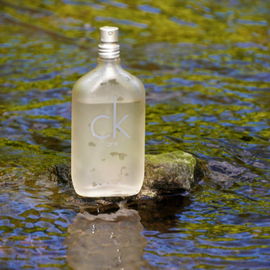 CK One (Eau de Toilette) - Calvin Klein