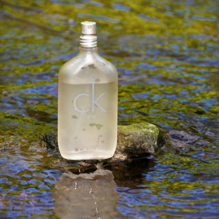 CK One (Eau de Toilette) - Calvin Klein