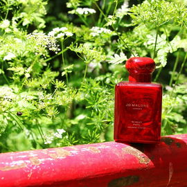 Scarlet Poppy - Jo Malone