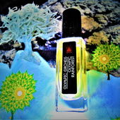 Psychedelic Rainforest (von Floyd)