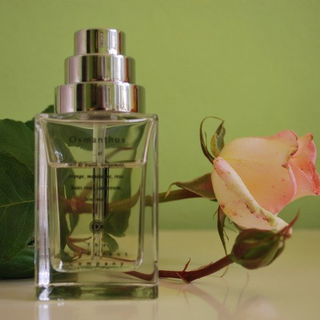 Osmanthus - The Different Company