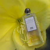 ꧁ Vielen Dank für Euren Besuch und die lieben Kommentare. Ich freue mich sehr darüber ꧂ (von Flughörnchen)