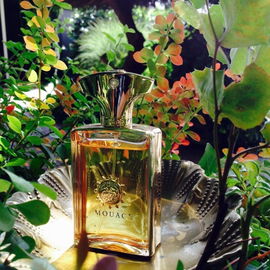 Gold Man - Amouage