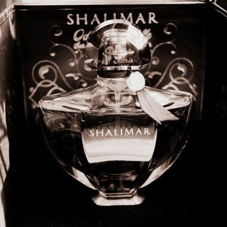 Shalimar Ode à la Vanille - Sur la route de Madagascar - Guerlain