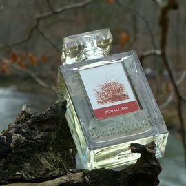 Corallium (Eau de Parfum) - Carthusia