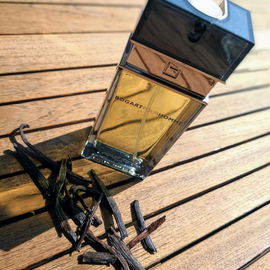 Bogart pour Homme (Eau de Toilette) - Jacques Bogart