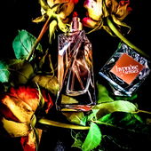 Rose im November (von Baeumchen)