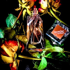 Rose im November