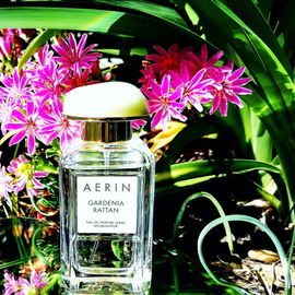 Gardenia Rattan - Aerin