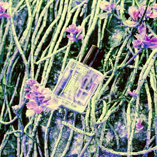 Adventure (Eau de Toilette Concentrate) - Adidas