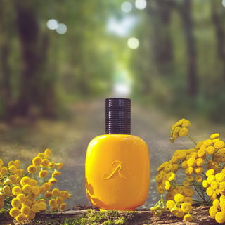 Vanille Paradoxe - Les Parfums de Rosine