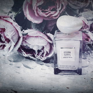 Die Tränen der Rose