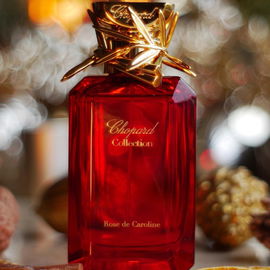 Rose de Caroline - Chopard