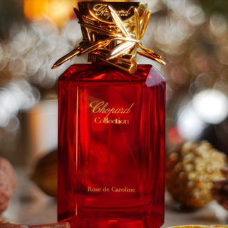 Rose de Caroline - Chopard