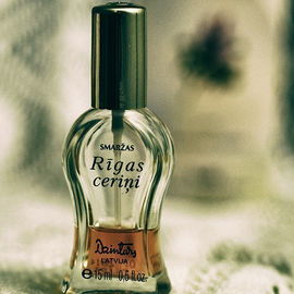 Rīgas Ceriņi / Рижская сирень - Dzintars
