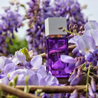 The Ritual of Holi - Eau My Gosh! - Rituals