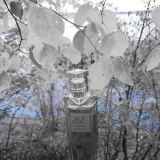 Hot Couture (Eau de Parfum) - Givenchy