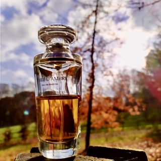 Secrets d'Essences - Voile d'Ambre (Eau de Parfum) von Yves Rocher