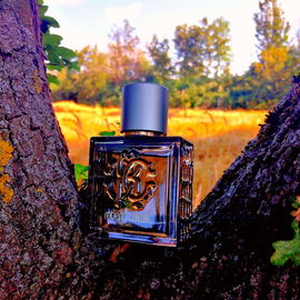 Roberto Cavalli Uomo Silver Essence - Roberto Cavalli