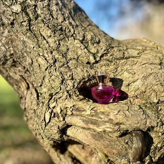 Versace pour Femme Dylan Purple (Eau de Parfum) by Versace