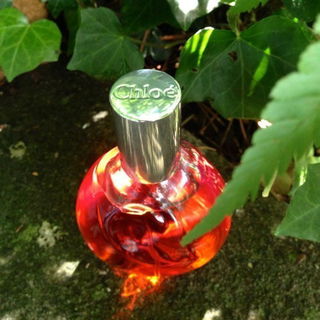 Chloé (1975) (Eau de Toilette) von Chloé