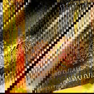 Emporio Armani - Diamonds for Men Black Carat - Giorgio Armani