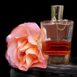 Love, Chloé Eau Intense - Chloé
