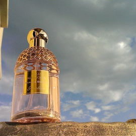 Aqua Allegoria Nerolia Bianca - Guerlain