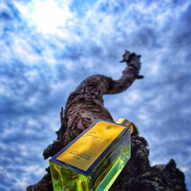 Ganymede (Eau de Parfum) - Marc-Antoine Barrois