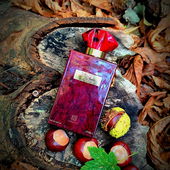 Danke für's Vorbeischauen 🍂🍁 (von DorisKa)