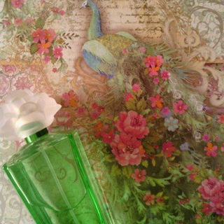 Gardenia by Elizabeth Taylor