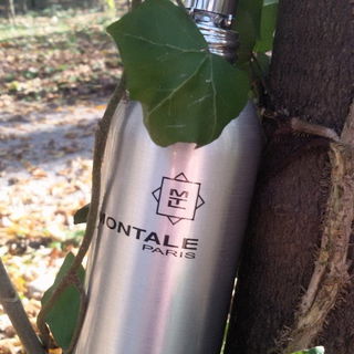 Sweet Oriental Dream - Montale