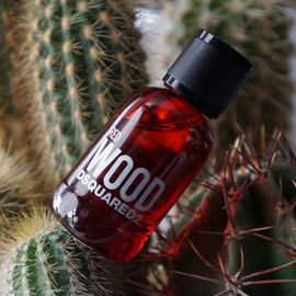 Red Wood - Dsquared²