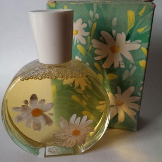 Delicate Daisies by Avon