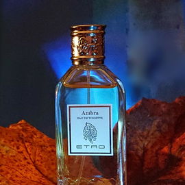 Ambra (Eau de Toilette) - Etro