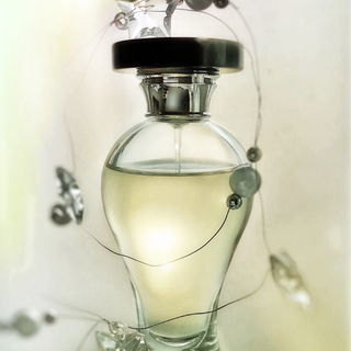 ..... kühle Schönheit - mit grünem Schimmer ..... :)