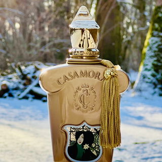 Casamorati - Lira (Eau de Parfum) von Xerjoff