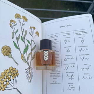 Grand Soir (Eau de Parfum) - Maison Francis Kurkdjian