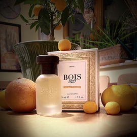 Blanche Immortelle - Atelier Cologne