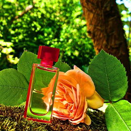 Ardenbeauty - Elizabeth Arden
