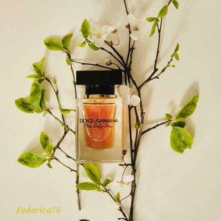 The Only One (Eau de Parfum) von Dolce & Gabbana