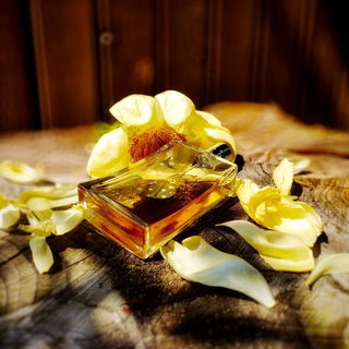 Tonka - Réminiscence