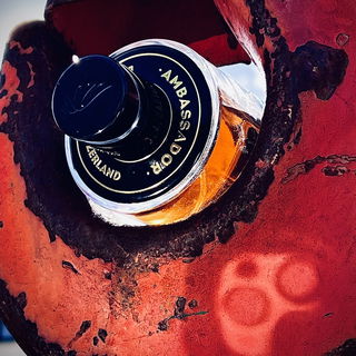 Ambassador for Men - Gisada