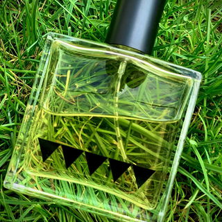 Undergrowth (2020) von Rook Perfumes