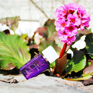 The Ritual of Holi - Eau My Gosh! - Rituals