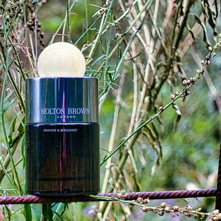 Orange & Bergamot (Eau de Parfum)